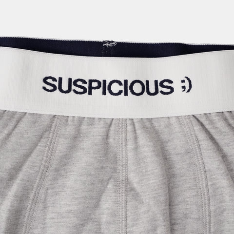 (Fall '24) The Suspicious Underwear 2-pack - Grey // Navy