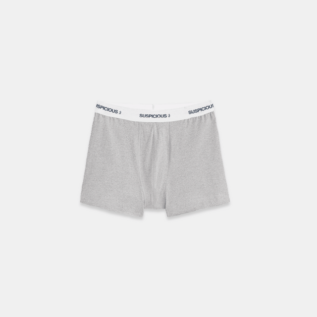 (Fall '24) The Suspicious Underwear 2-pack - Grey // Navy