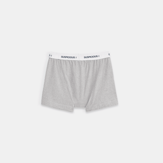 (Fall '24) The Suspicious Underwear 2-pack - Grey // Navy