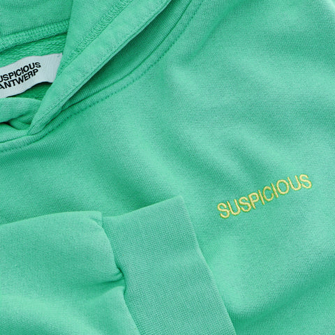 (SS24) The Peacekeeper Hoodie - Spearmint