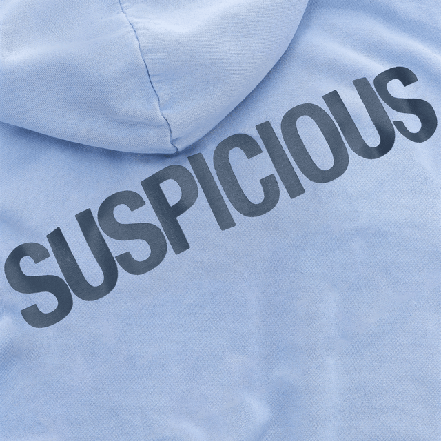 (SS24) The Suspicious Hoodie - Vista Blue